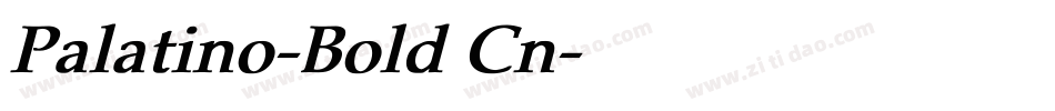 Palatino-Bold Cn字体转换